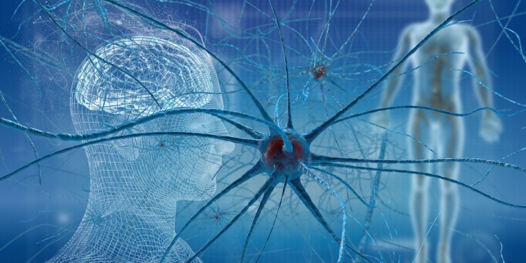 NEURONI SPECCHIO ED EMPATIA
